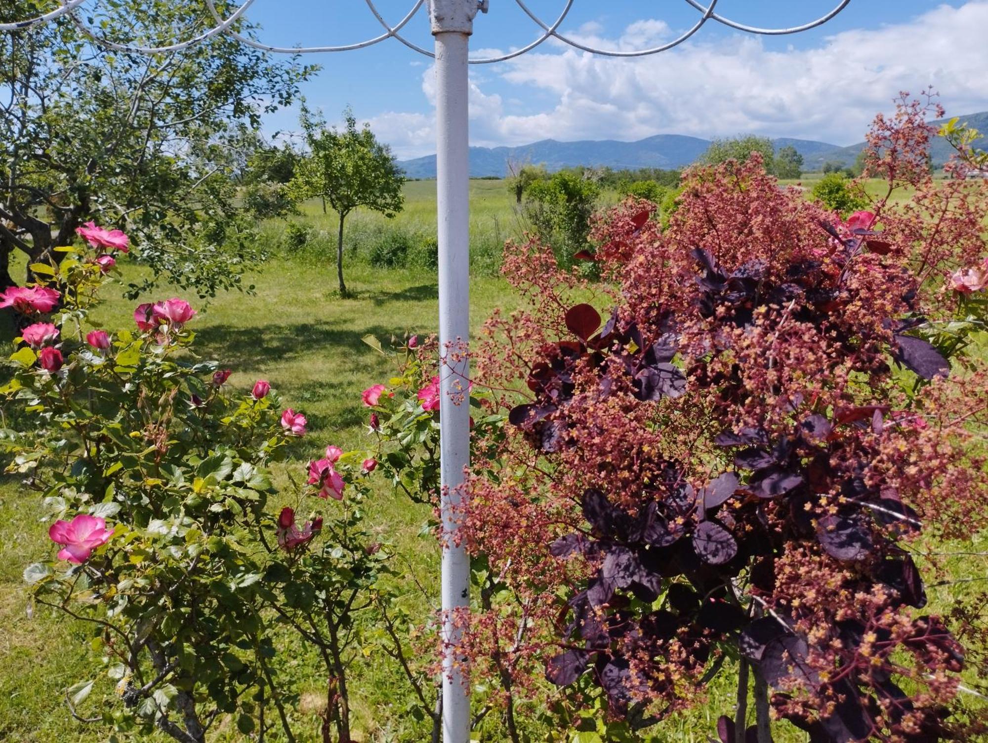La Verdine Vérin Esterno foto